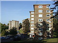 TQ4177 : Blocks of flats, Charlton by Malc McDonald
