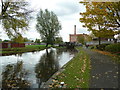 Rochdale Canal below No 80 Lock, Manchester