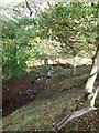 Stream below Shaws Farm