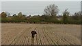 Track of Roman road approaching Worcester