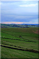 SJ9982 : The view north from Longside by David Lally