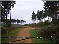 TM4053 : Access No.23 into Sudbourne Woods by Geographer