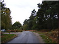 TM3956 : Road to Iken & Access No.30 into Tunstall Forest by Geographer