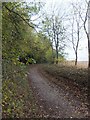 Bridleway beside Langley Wood