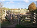 Footbridge over Cuttle Brook