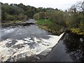 Weir, Millheugh