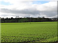 Farmland south of the A25