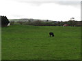 Farmland south of the A25 at Drumlough