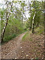 A hillside bridleway