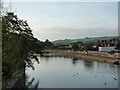 Housing on the Exe, Tiverton