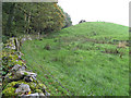 Drumlin with standing stone