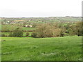 Drumlin swarms north of Rathfriland