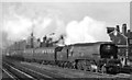 Waterloo - Basingstoke train approaching Vauxhall