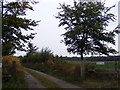 The entrance to Valley Farm, Butley