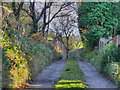 Abels Lane, Uppermill