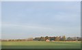 Farmland towards Spinney Lodge