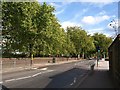 Pedestrian crossing, Albany Road