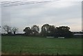 Farmland, Low Meadow