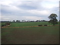 Farmland near Rose Hill Farm