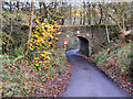 Den Lane Bridge