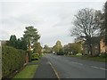 Moor Lane - The Village