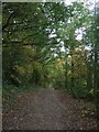 Footpath around Dog Kennel Hill Hainault Forest Country Park