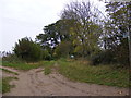 Bridleway to Ivy Lodge Road