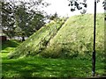 The motte, Dalmellington