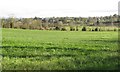 Pasture land east of Tullyquilly Road