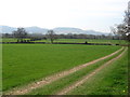 Castle House triangulation pillar view