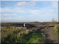 NZ5221 : Neglected Viewpoint on the southern bank of the River Tees by peter robinson