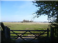 Looking across Romney Marsh towards Littlestone-on-Sea