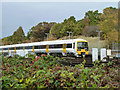 Train in siding, Hither Green