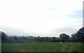 Farmland, Low Easby