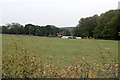 View towards Blidworth Dale