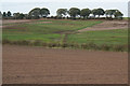 Fields near Ravenshead