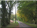 SK9594 : The lane near Blyborough Grange by Jonathan Thacker