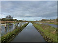 Newry Canal north of Scarva