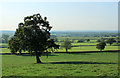 2011 : West from the lane south of Hawkesbury