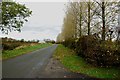 An autumn look along Fradswell Lane