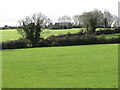 Disused farm buildings west of Drumgreenagh Road