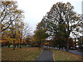 Footpath in Duppas Hill Recreational Ground