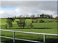 Pasture land on a large drumlin west of the Ardaragh Road