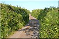 Lane west of Hele