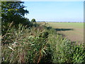 Footpath near New Romney