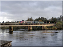 NO1223 : Perth Railway Bridge by David Dixon
