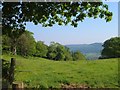 Pasture above Drewston