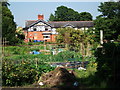 Allotments, Heyes Lane, Alderley Edge