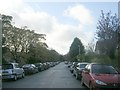 Ancaster Road - viewed from Welburn Avenue