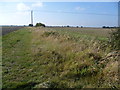 Footpath from Burmarsh Road